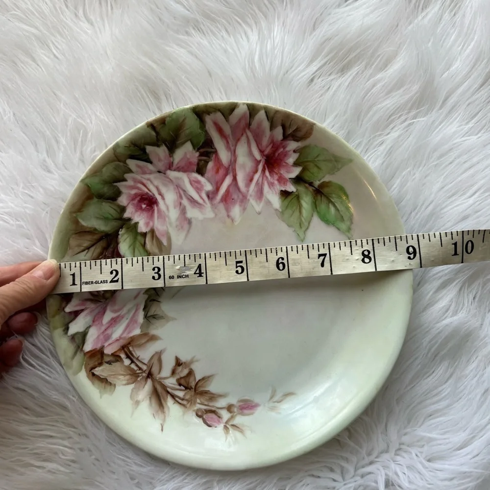 Vintage Royal Crescent Bavaria Hand Painted Roses 9”